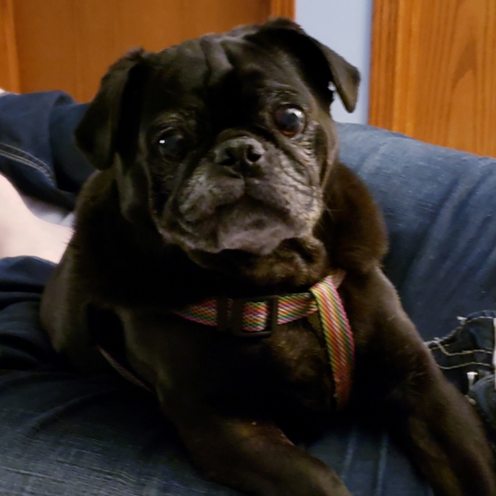 Hi, I'm Ruthie!!! :)